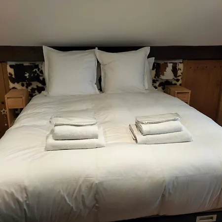 Duplex Centre De Meg1384htp Apartament